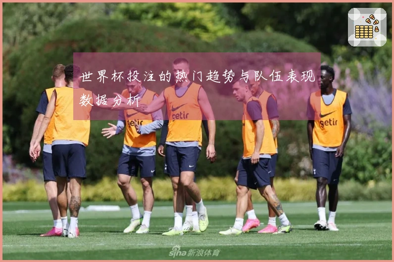 世界杯投注的热门趋势与队伍表现数据分析