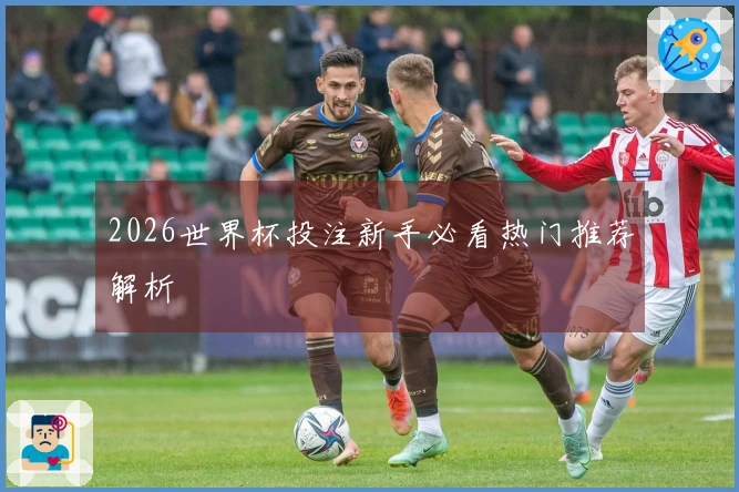 2026世界杯投注新手必看热门推荐解析