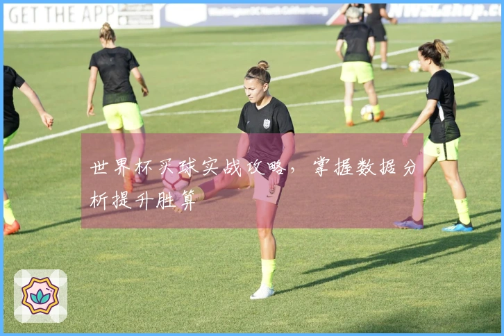 世界杯买球实战攻略，掌握数据分析提升胜算