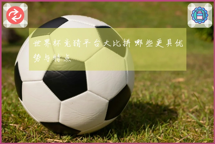 世界杯竞猜平台大比拼 哪些更具优势与特点