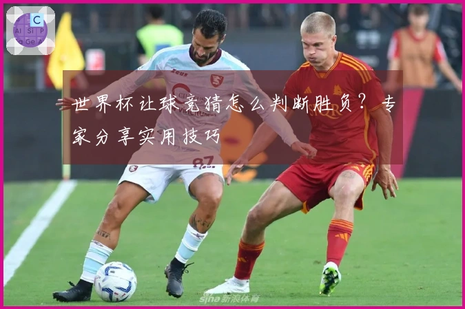 世界杯让球竞猜怎么判断胜负？专家分享实用技巧