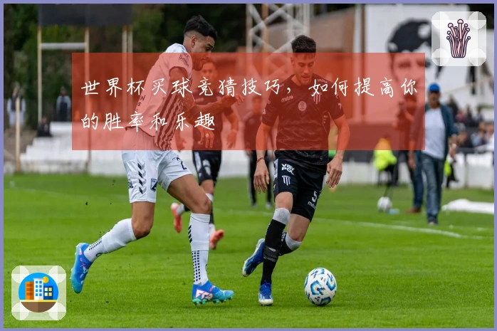 世界杯买球竞猜技巧，如何提高你的胜率和乐趣