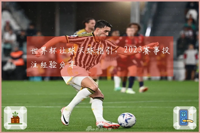 世界杯让球买球指引，2023赛事投注经验分享