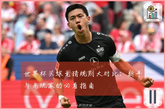 世界杯买球竞猜规则大对比：新手与老玩家的必看指南