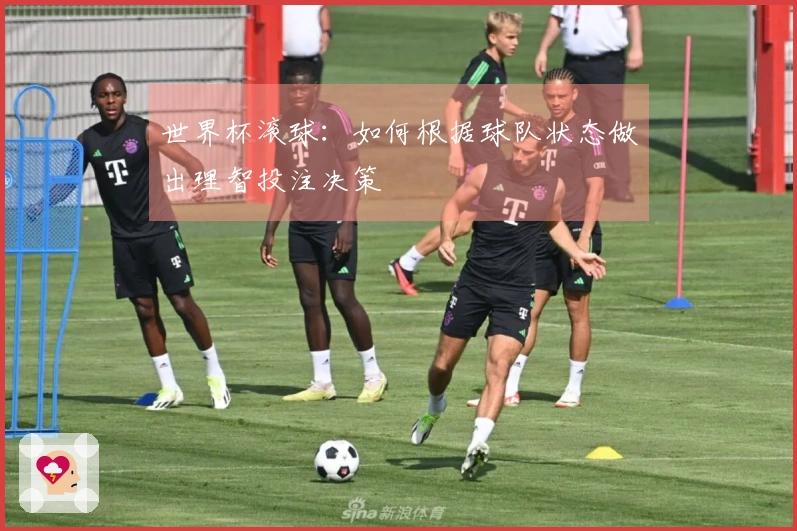 世界杯滚球：如何根据球队状态做出理智投注决策